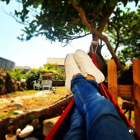 Casa de Férias Casa Ameixeira