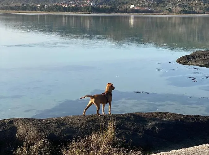 Casa Ameixeira Дом отдыха